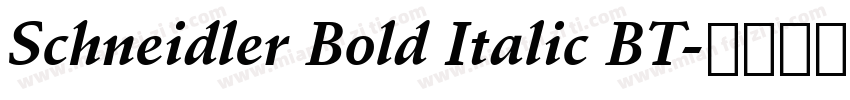 Schneidler Bold Italic BT字体转换